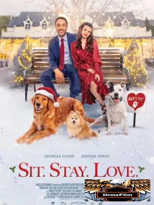 Sit. Stay. Love. 2021