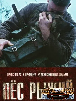 Пёс рыжий 2016