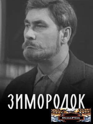 Зимородок 1972