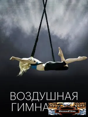 Воздушная гимнастка 2020