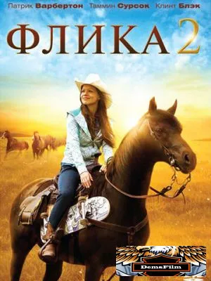 Флика 2 2010