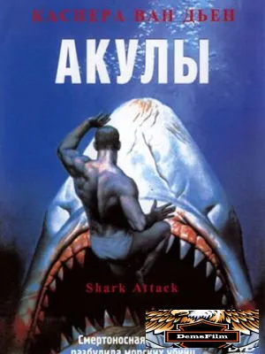Акулы 1999