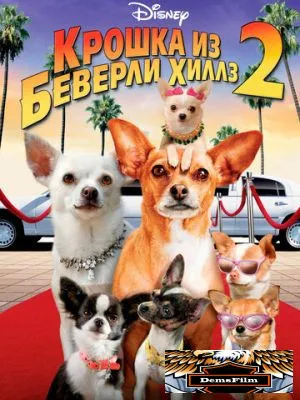 Крошка из Беверли-Хиллз 2 2010