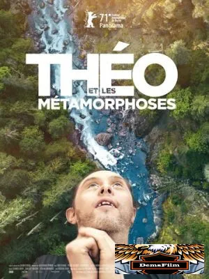 Тео и метаморфозы 2021