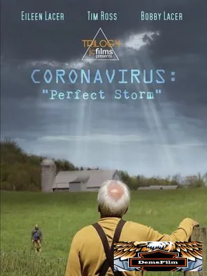 Coronavirus: Perfect Storm 2020