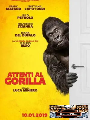 Attenti al gorilla 2019