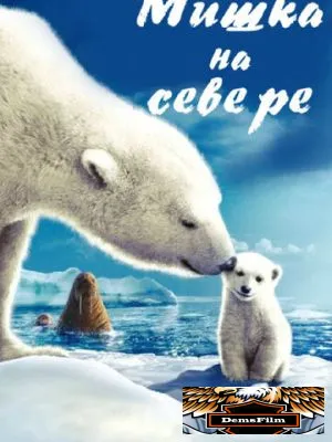Мишка на Севере 2006