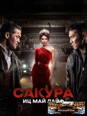 Сакура. Иц май лайф 2024