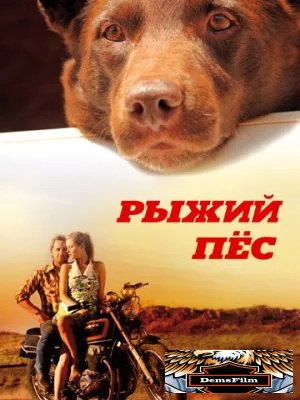 Рыжий пес 2011