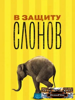 В защиту слонов 2013