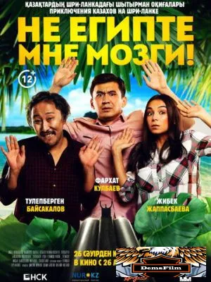 Не египте мне мозги! 2018