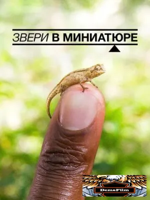 Звери в миниатюре 2017