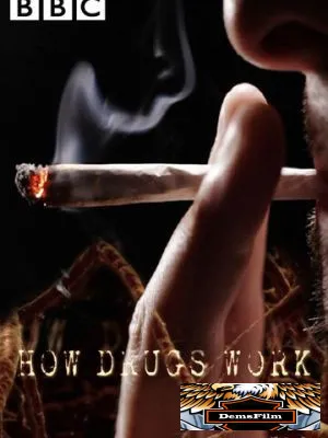 How Drugs Work 2011
