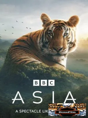 Asia 2024