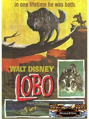 Легенда о Лобо 1962