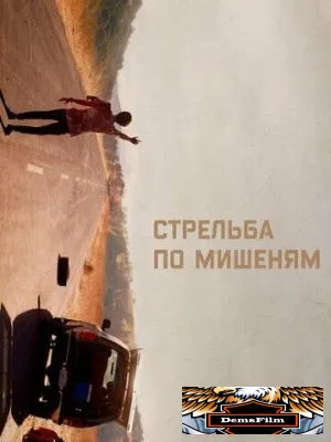 Стрельба по мишеням 2017